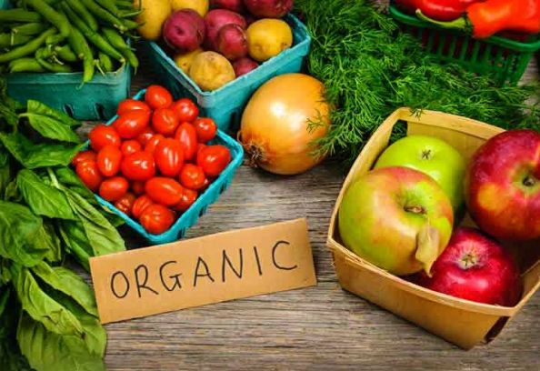 Os alimentos orgânicos vieram para ficar - Alimentos tem conquistado a mesa do brasileiro...