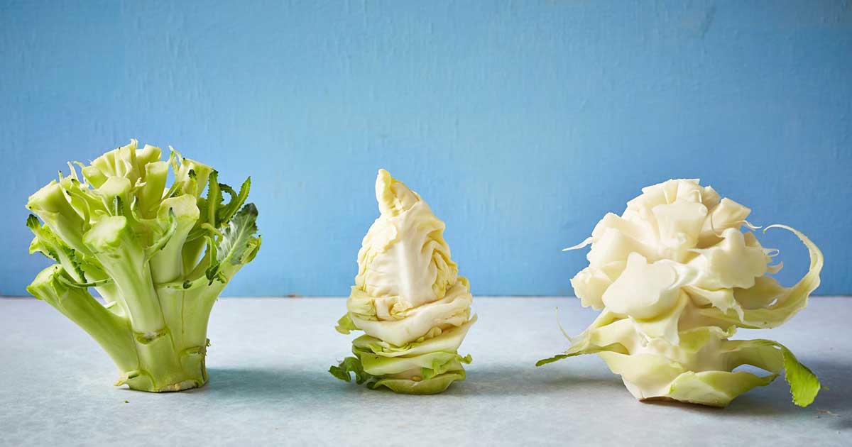 Reaproveitando talos de verduras - Atividade Educacionar para Sugerir maneiras de se reaproveitar...