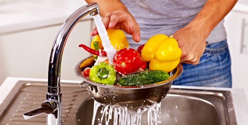 Importância da higiene dos alimentos - O ser vivo tem instintos naturais...