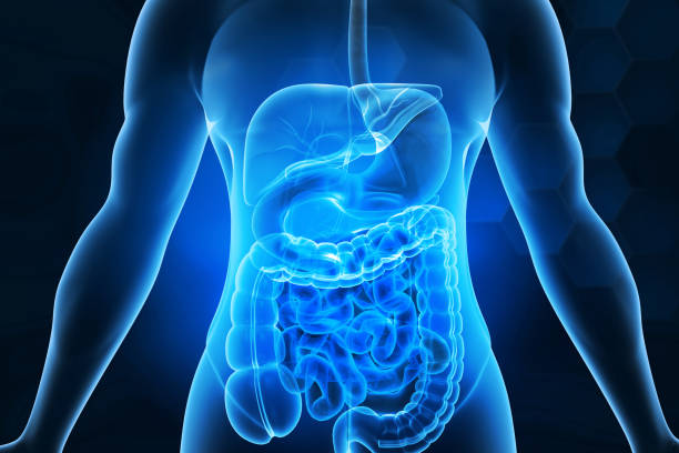 O Caminho da Cura: O que é a Cirurgia do Aparelho Digestivo