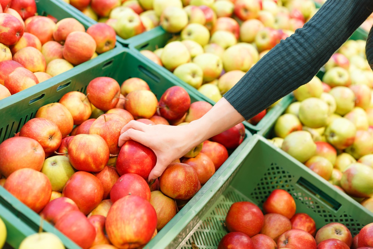 Como escolher os alimentos - O valor nutritivo dos alimentos