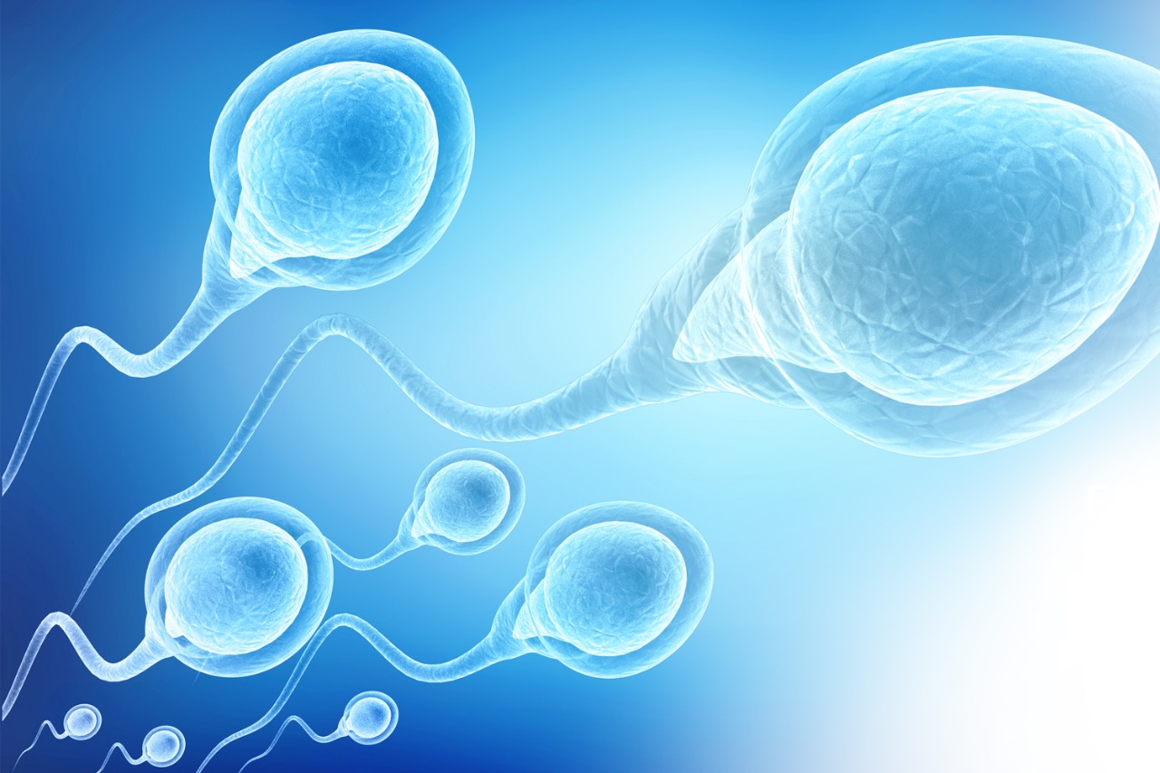 Danos ao espermatozoide - Segundo os cientistas, os pais que bebem e fumam...