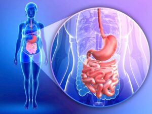 Como Tratar Doenças do Intestino de Forma Natural e Segura em Casa