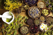 Ervas têm propriedades que ajudam o organismo - Usar ervas e condimentos naturais é uma ótima...