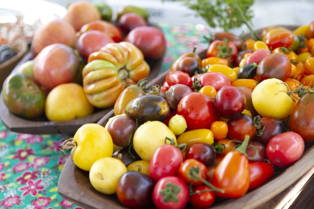 Dia-de-Campo-Tomates-Especiais-Foto-Leonardo-Fonseca_51