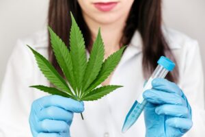 Maconha produzida pelo corpo faz bem à pele – Ingrediente ativo da maconha produzidos pelo corpo…