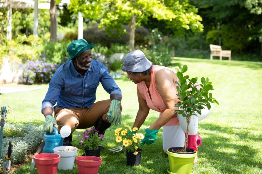 casal-cuidando-plantas