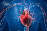 Laços de sangue e histórico de infarto, cuidado! - Quando o assunto é coração, o vínculo estreito entre...