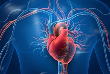 Laços de sangue e histórico de infarto, cuidado! - Quando o assunto é coração, o vínculo estreito entre...