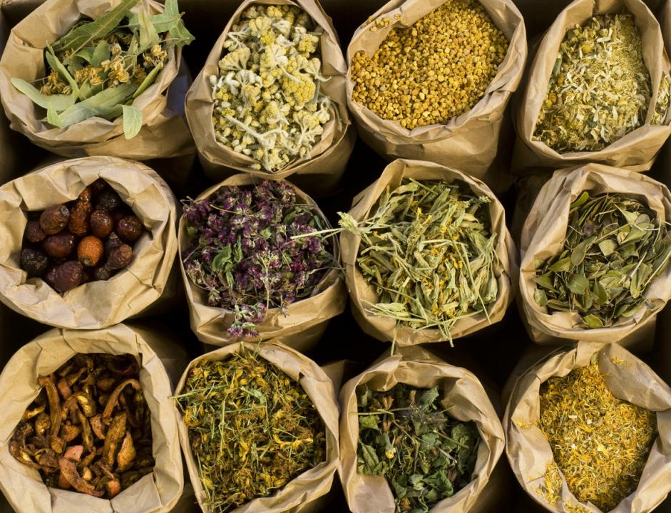 plantas-medicinais-alimentos-como-cura
