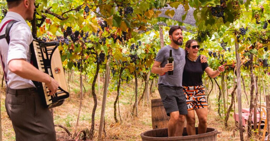 uva e vinho
