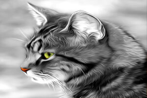 Imagem compartilhada por artigos da editoria Animais & Plantas do Portal TopGyn.