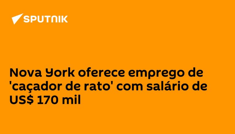 Nova York oferece emprego de 'caçador de rato' com salário de US$ 170 mil
