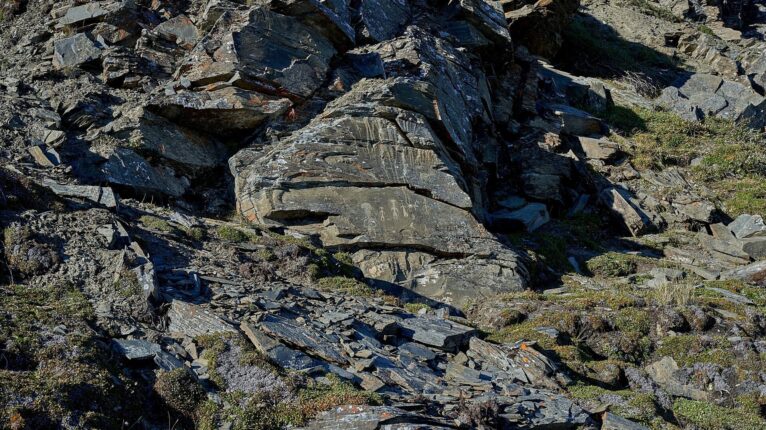 Segredos do Ártico: no norte da Rússia, são encontrados 31 petróglifos desconhecidos (FOTOS)