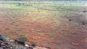 Misteriosos 'círculos de fadas' se espalham pelo planeta, aponta estudo