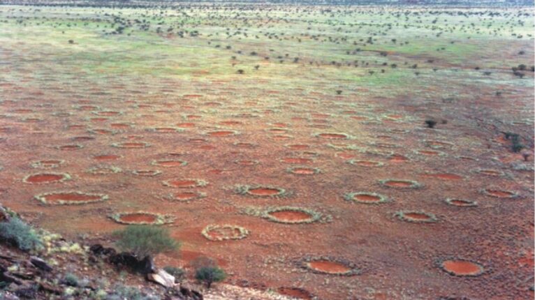 Misteriosos 'círculos de fadas' se espalham pelo planeta, aponta estudo