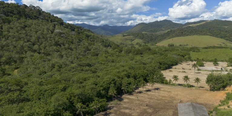Agricultura ganha 11 milhões de hectares em 41 anos na Mata Atlântica