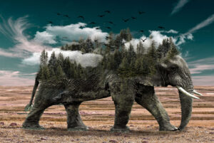 Imagem compartilhada por artigos da editoria Animais & Plantas do Portal TopGyn.