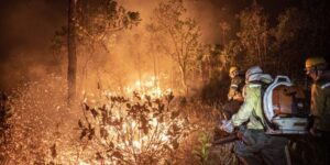 Ibama extinguiu 229 incêndios no Amazonas