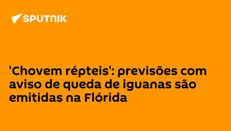 'Chovem répteis': previsões com aviso de queda de iguanas são emitidas na Flórida