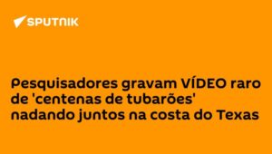 Pesquisadores gravam VÍDEO raro de 'centenas de tubarões' nadando juntos na costa do Texas