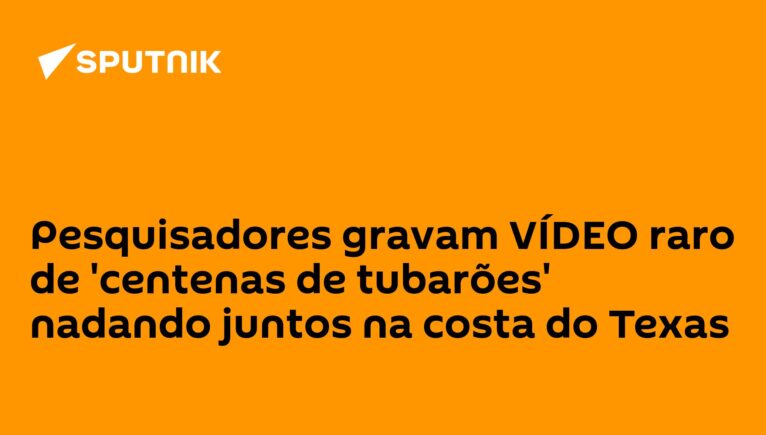 Pesquisadores gravam VÍDEO raro de 'centenas de tubarões' nadando juntos na costa do Texas
