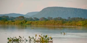 Cerrado brasileiro perdeu 13,9 milhões de hectares de margens de rios