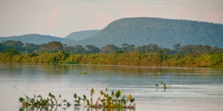 Cerrado brasileiro perdeu 13,9 milhões de hectares de margens de rios